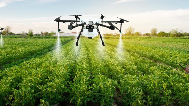 Crop Monitoring