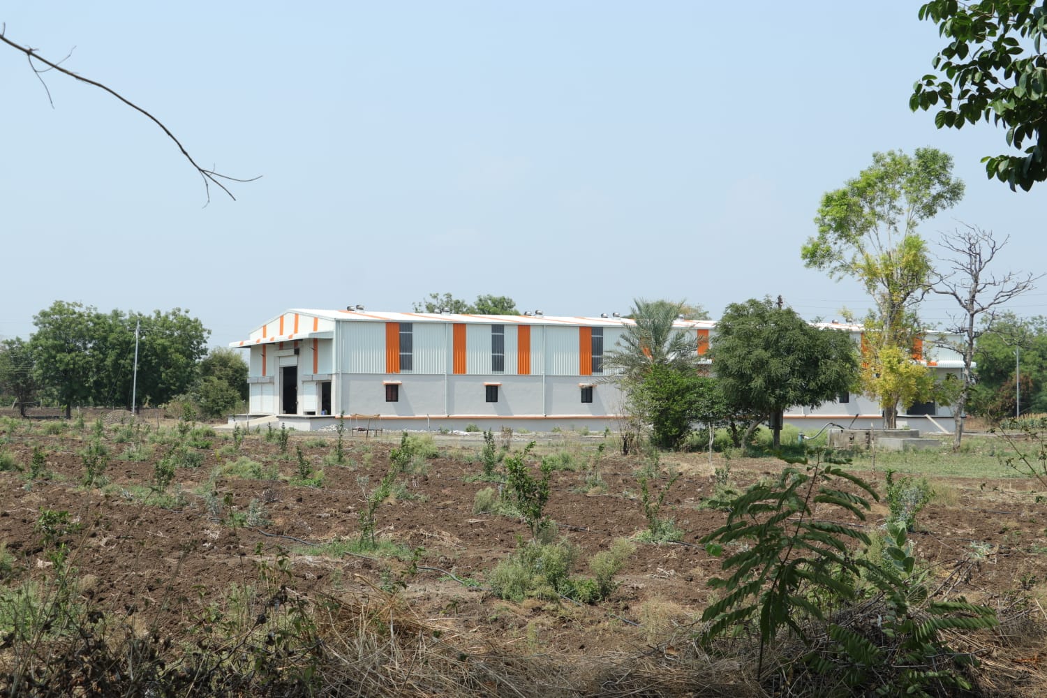 Image 25